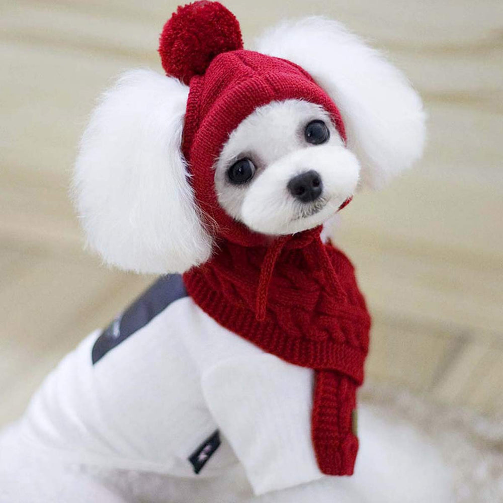 Lobagve Van Caro festive red dog outfit for stylish outings