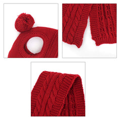Lobagve Van Caro winter outfit on small dog for daily walks