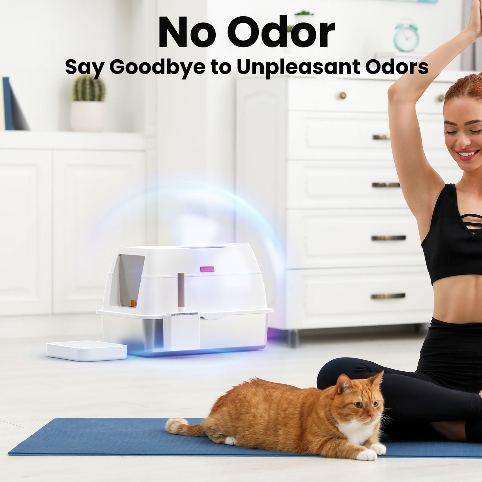 Lobeve all-in-one set includes scoop and mat for neat maintenance.