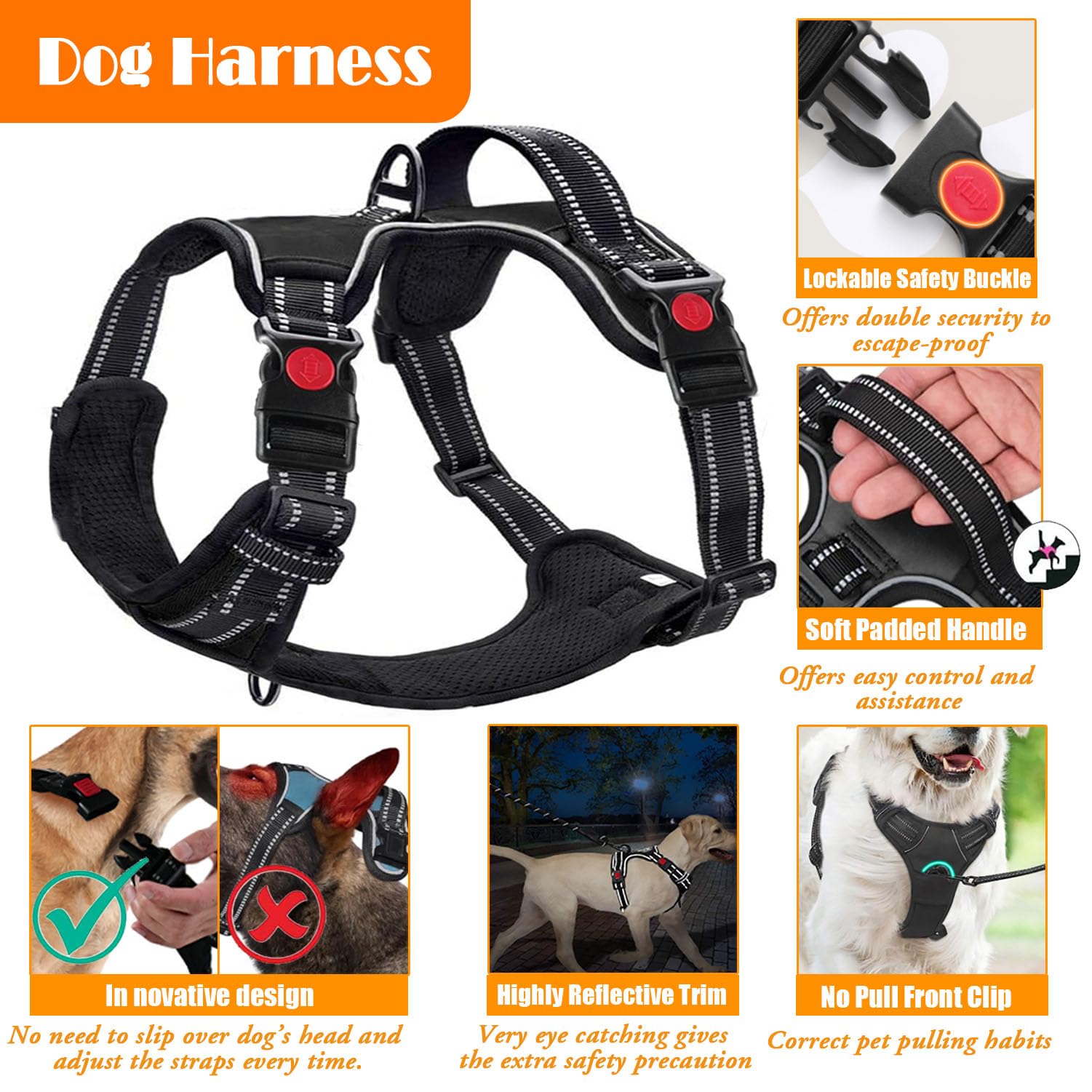 LOBEVE collar leash set orange close up buckle for secure everyday use