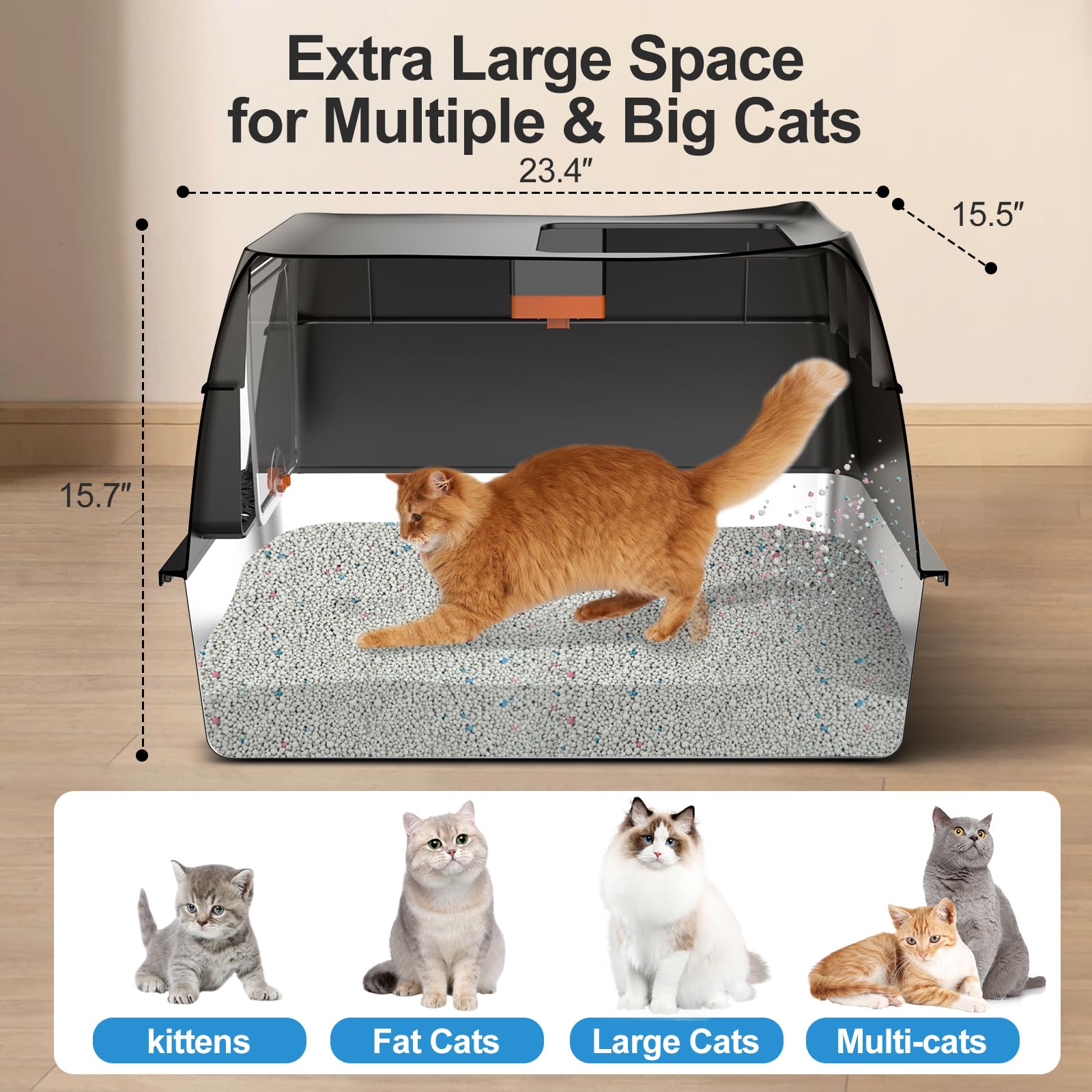 Lobeve front-entry litter box — easy access and tidy exits