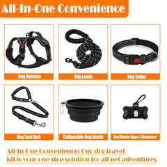 Lobeve harness and leash set in use for calm walking.