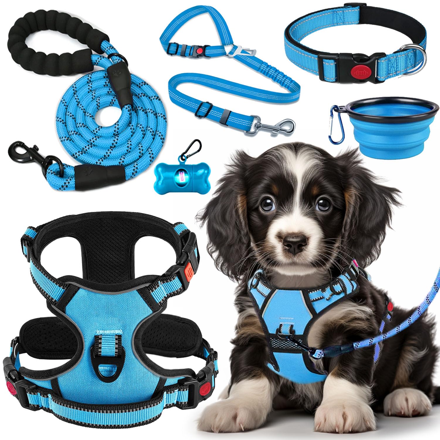Lobeve no-pull harness blue front view — comfortable training walks.