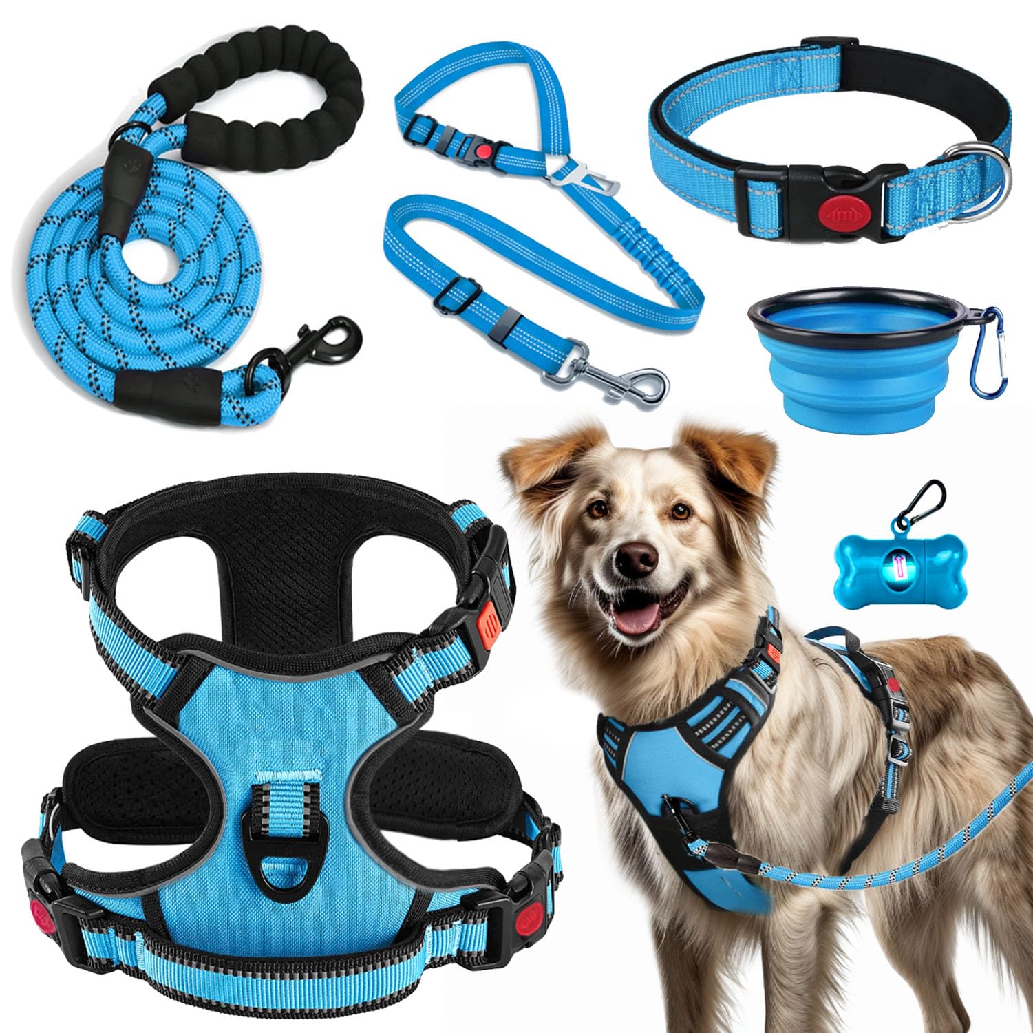 Lobeve no-pull harness blue-XL set provides comfortable training during walks.