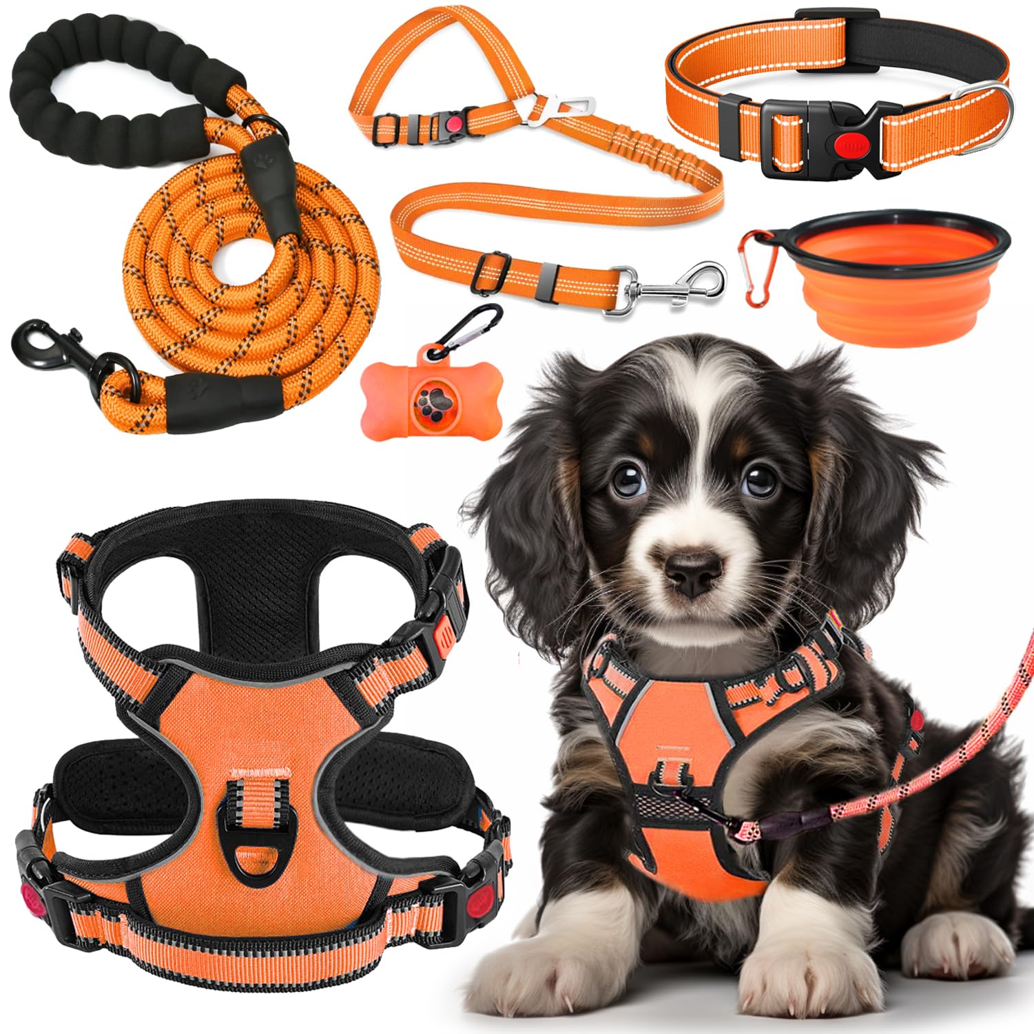 Lobeve No-Pull Harness Orange-M on dog walk reduces neck strain and improves control.