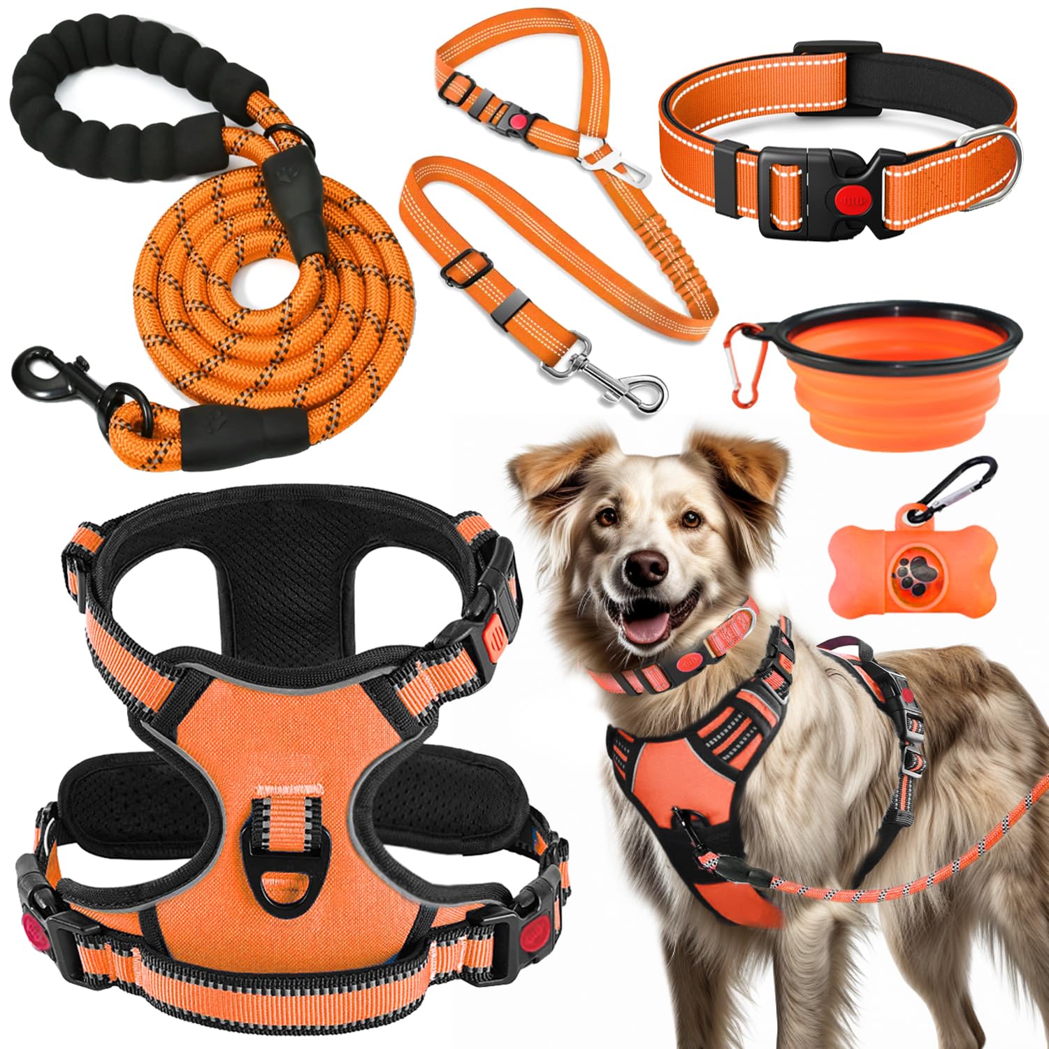 Lobeve No-Pull Harness orange with reflective stitching for safer morning walks.