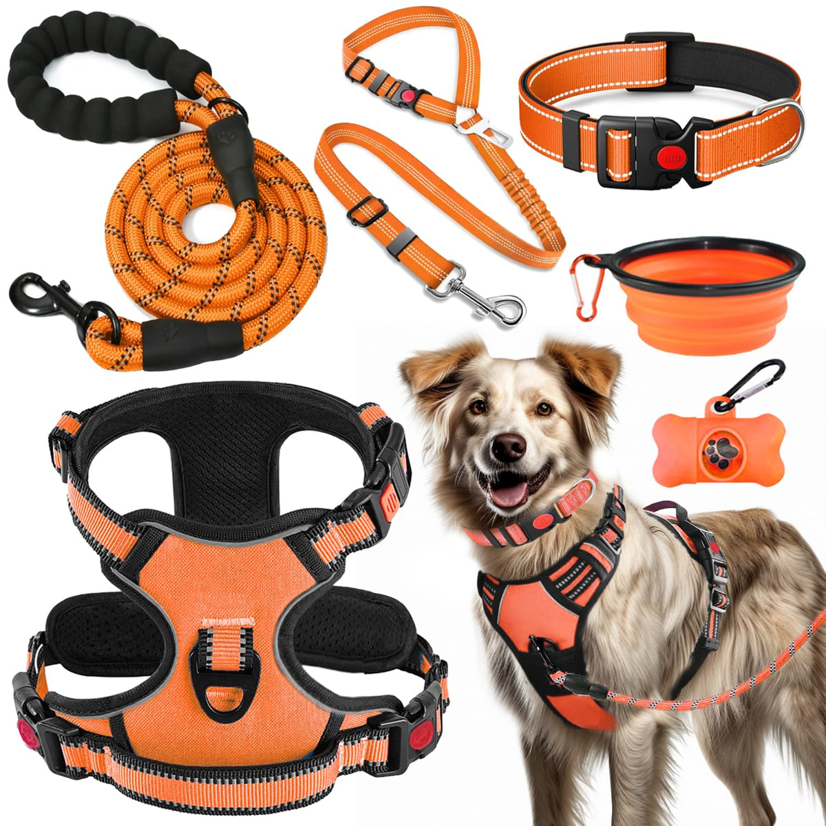 Lobeve No-Pull Harness orange with reflective stitching for safer morning walks.