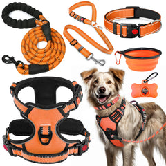 Lobeve No-Pull Harness orange with reflective stitching for safer morning walks.