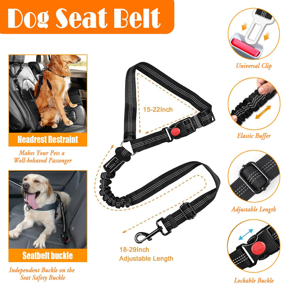 Lobeve Reflective stitching on harness for better visibility.