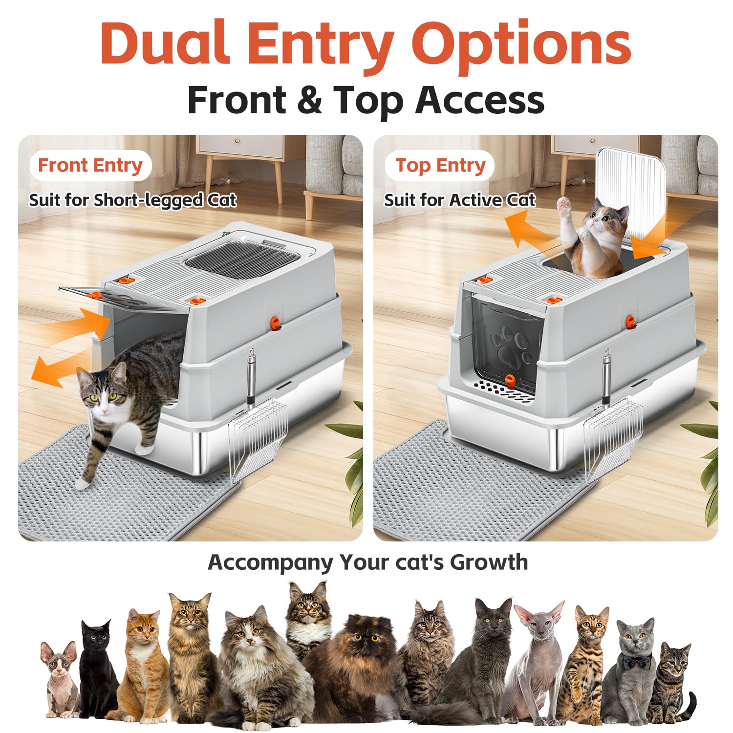 Lobeve hooded setup; private litter box reduces scatter and odors.