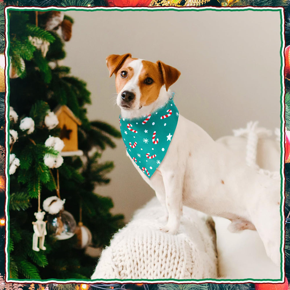 Locmeo dog bandana reindeer pattern as a versatile Christmas accessory.