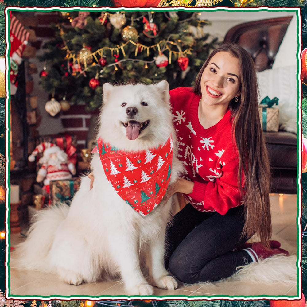 Locmeo dog bandana close-up in soft polyester for most dog sizes.