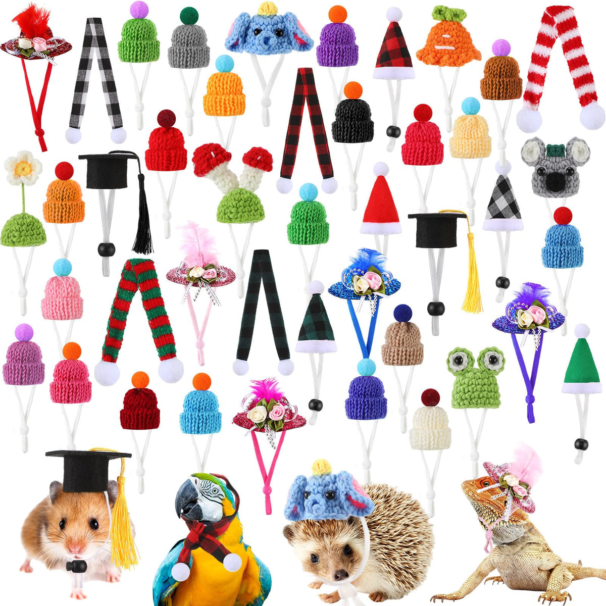 Locmeo hamster hats set closeup showcases vibrant colors for charming pet photos.