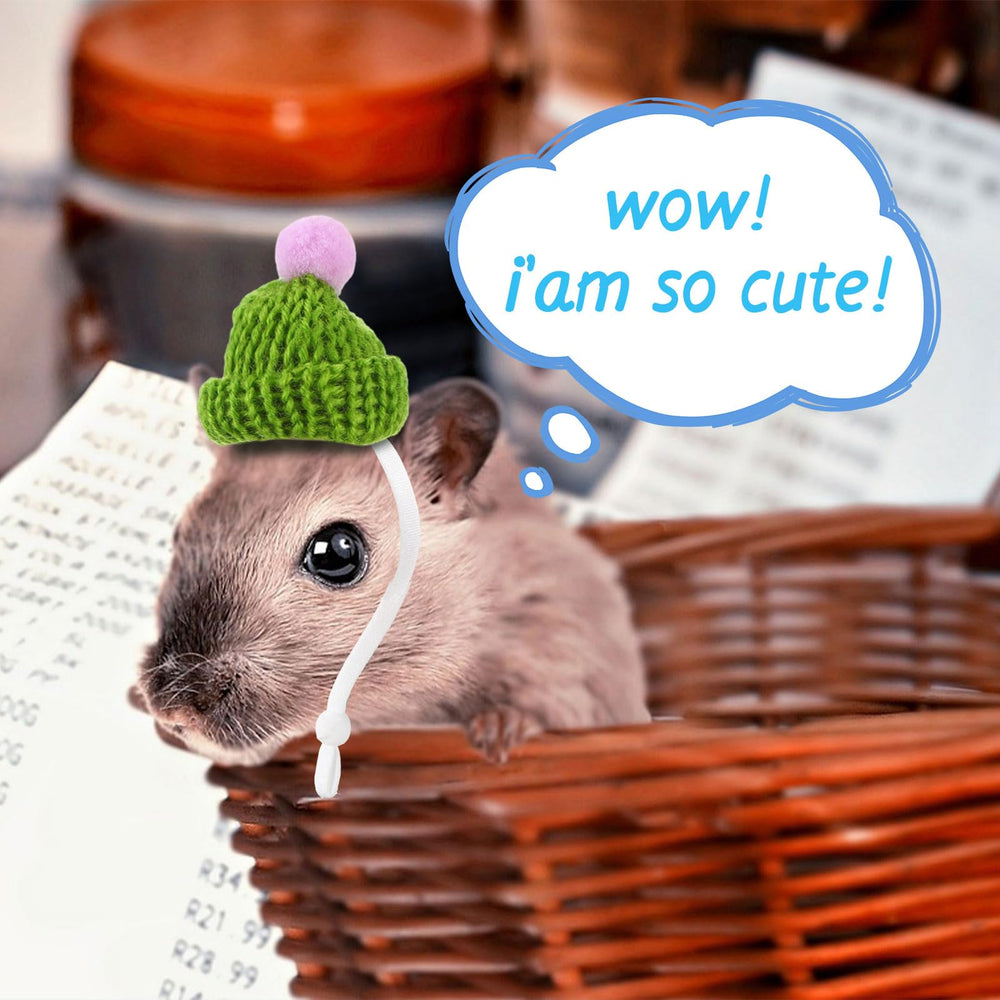 Locmeo hedgehog and hamster dressup session captures adorable moments.