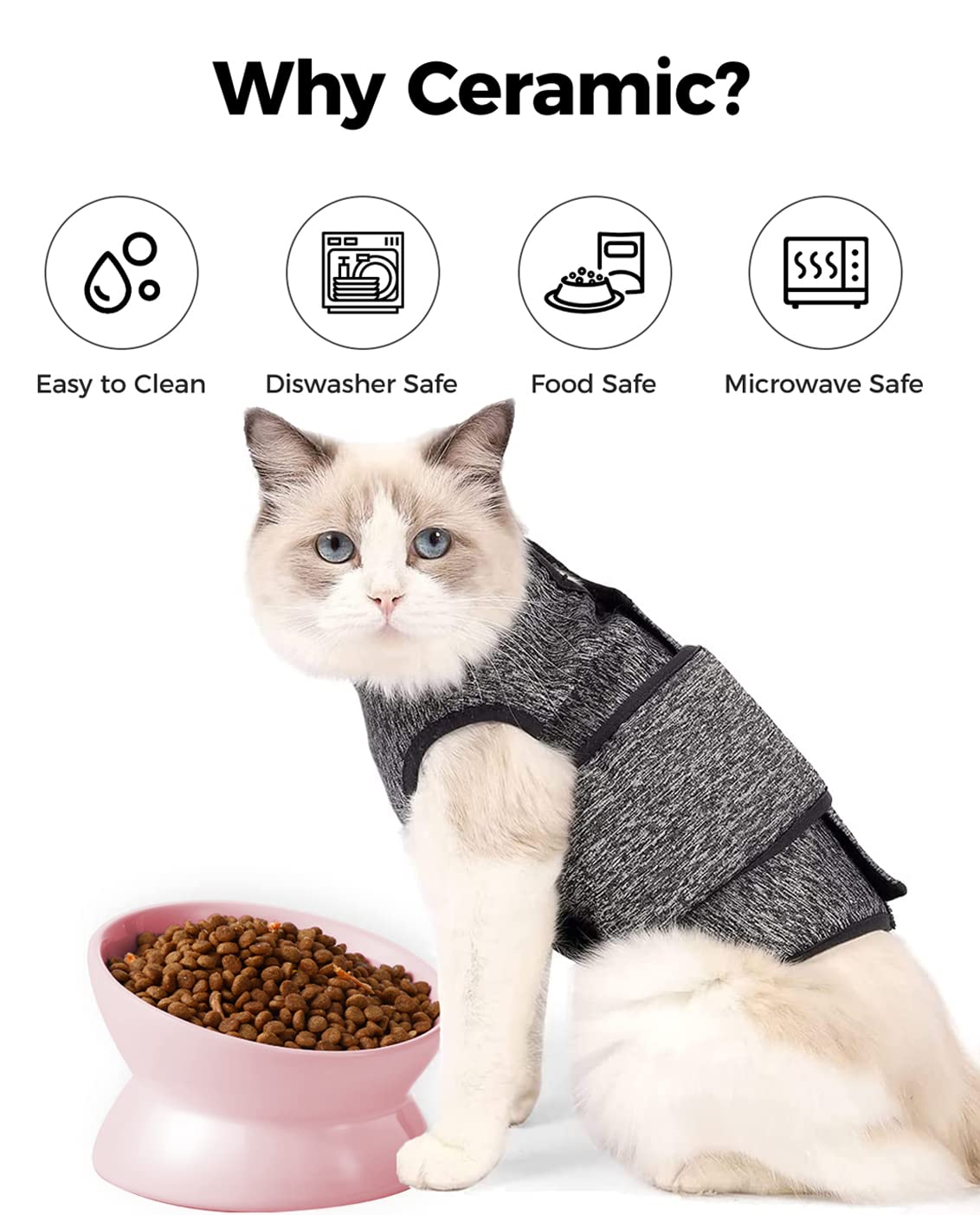 LoeJan anti-vomiting design cat bowl improves meal positioning