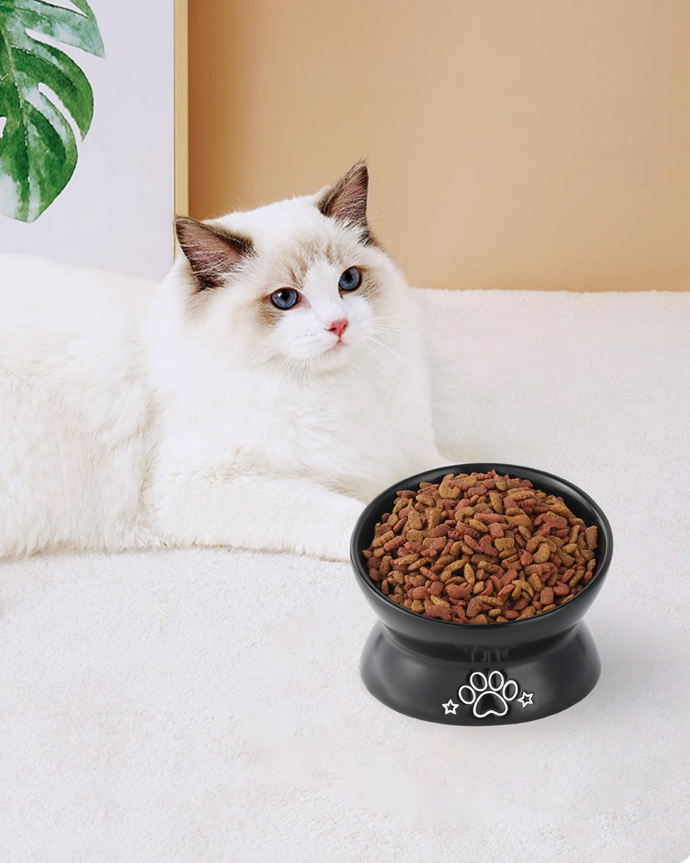 LoeJan black-pattern cat bowl blends modern style with practical use