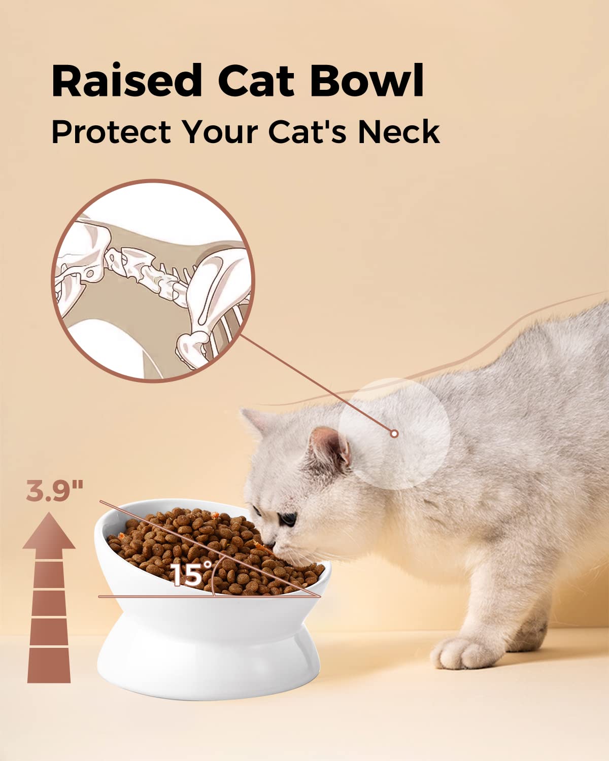 LoeJan cat bowl wide shallow design prevents whisker contact during meals.