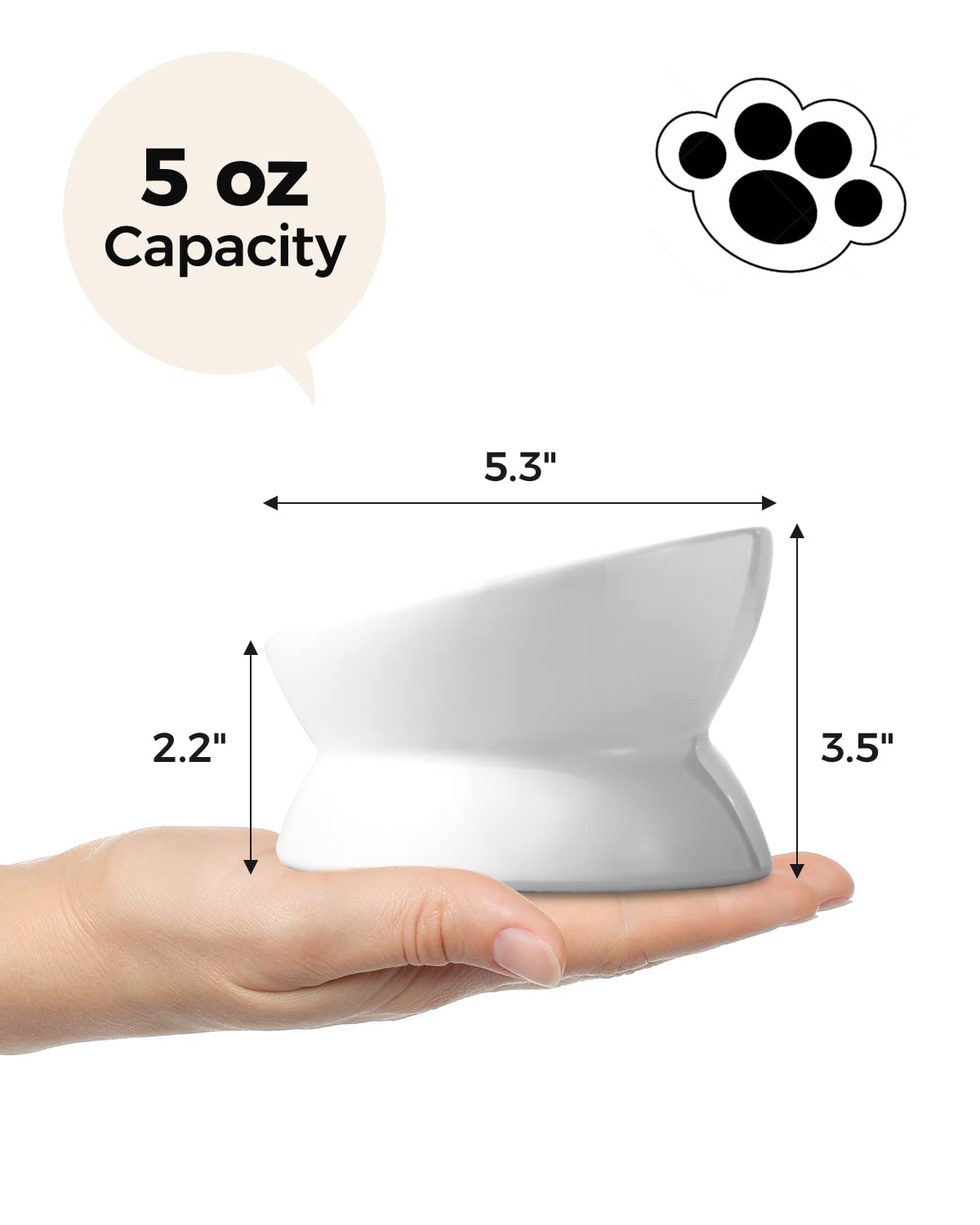 LoeJan elevated ceramic bowl supports flat-faced cats and small pets.