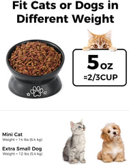 LoeJan ceramic elevated bowl 5oz provides sturdy lead-free dining for small pets