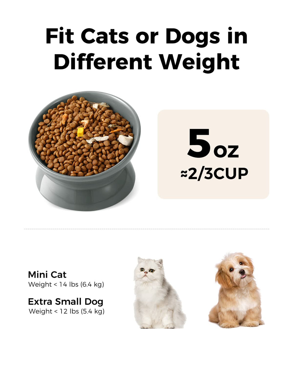 LoeJan ceramic raised bowl tilted angle centers food for easy feeding