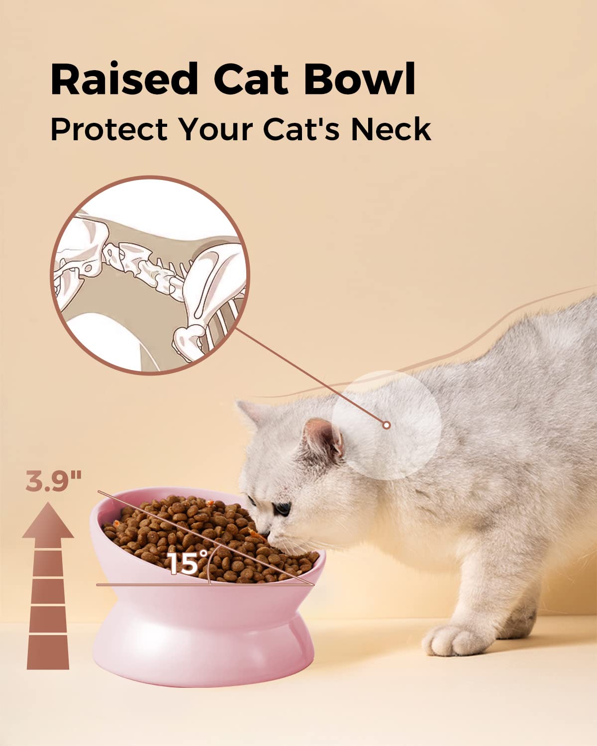 LoeJan dishwasher-safe cat bowl for effortless cleanup