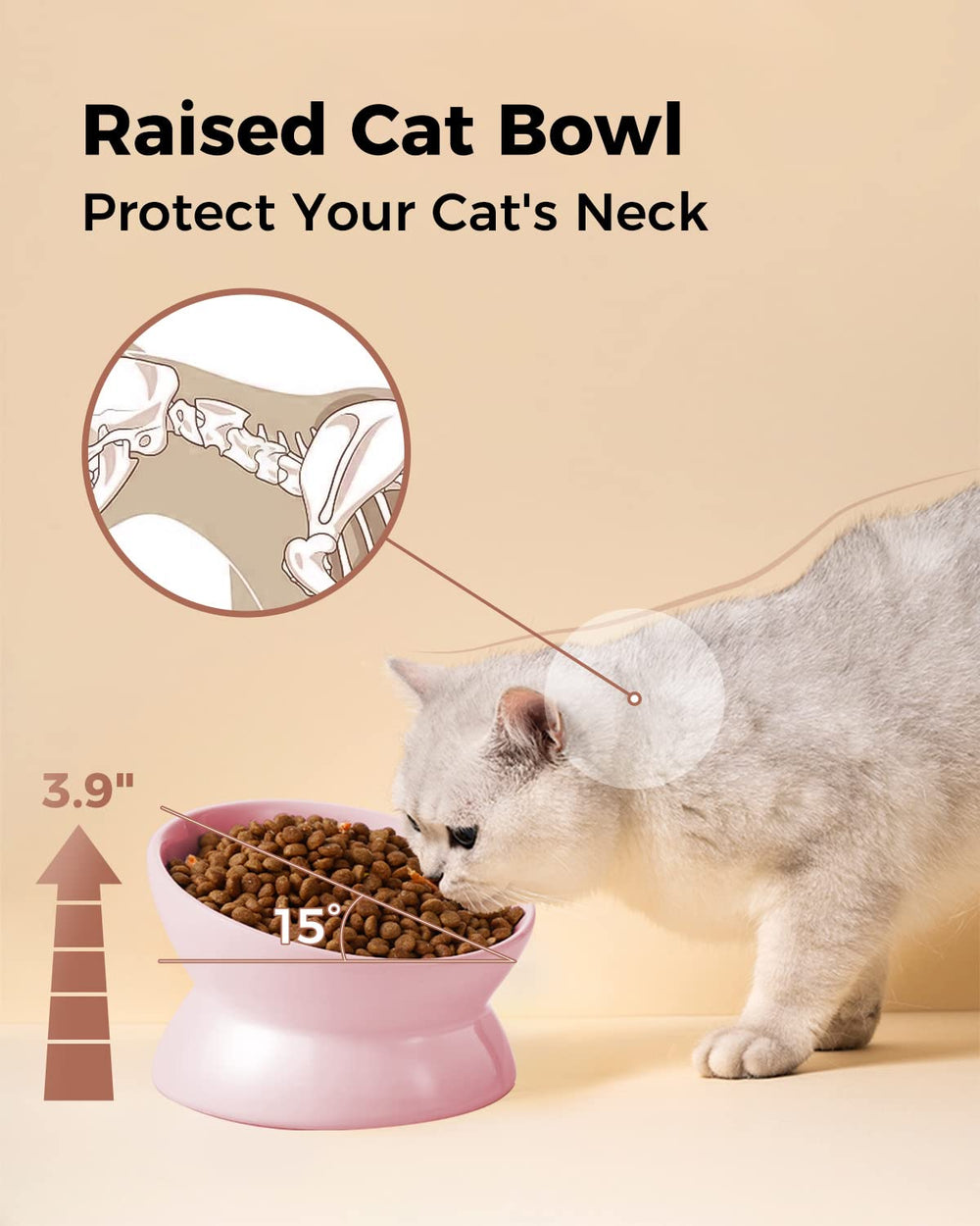 LoeJan dishwasher-safe cat bowl for effortless cleanup