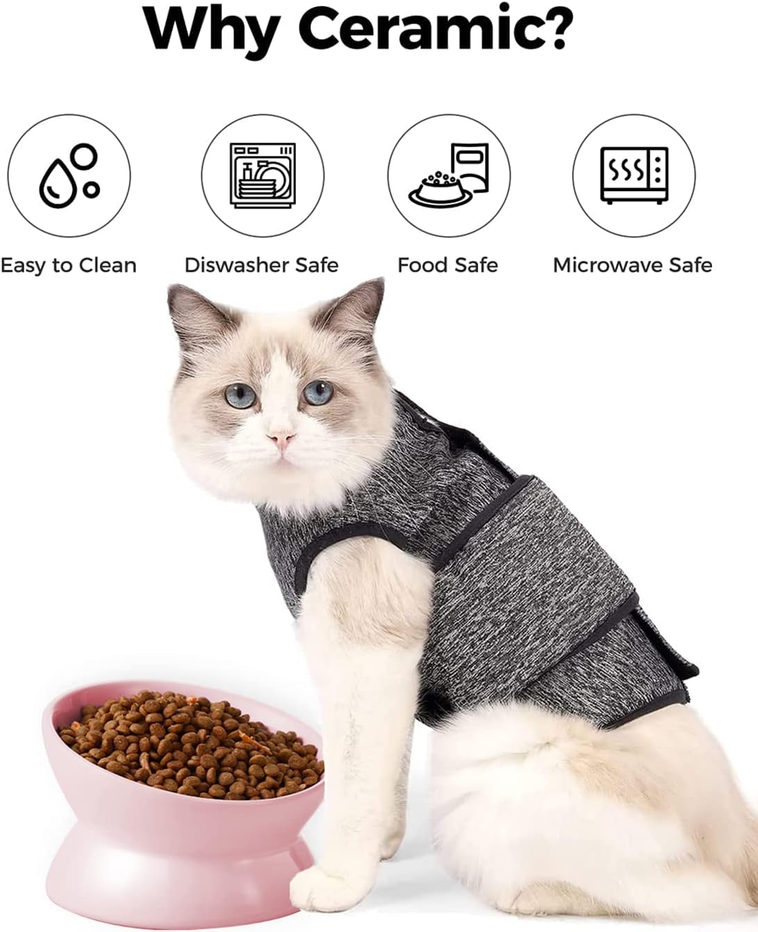 LoeJan elevated cat bowl microwave and dishwasher-safe for quick cleanup