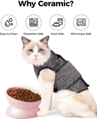 LoeJan elevated cat bowl microwave and dishwasher-safe for quick cleanup