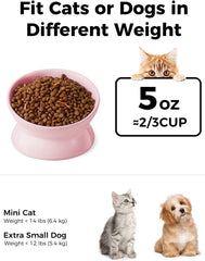 LoeJan 5oz ceramic bowl focuses food centrally for easier meal times