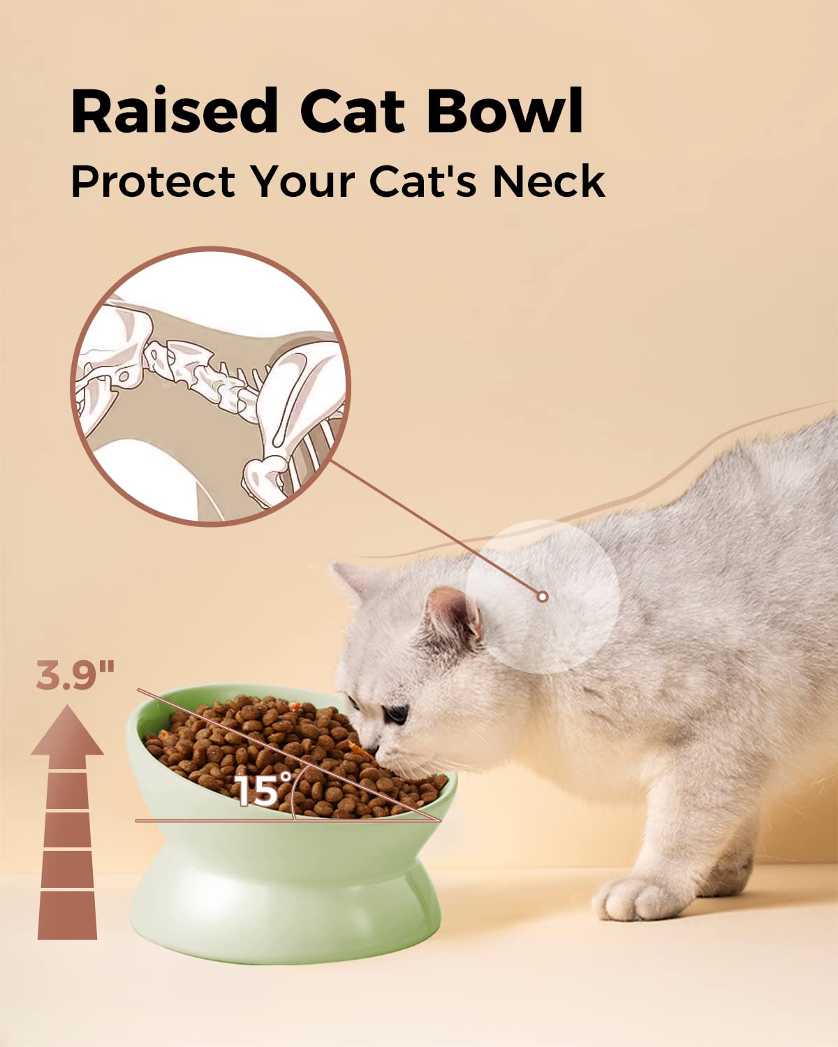 LoeJan elevated cat food bowl anti-vomiting design close-up suggests smoother swallowing.