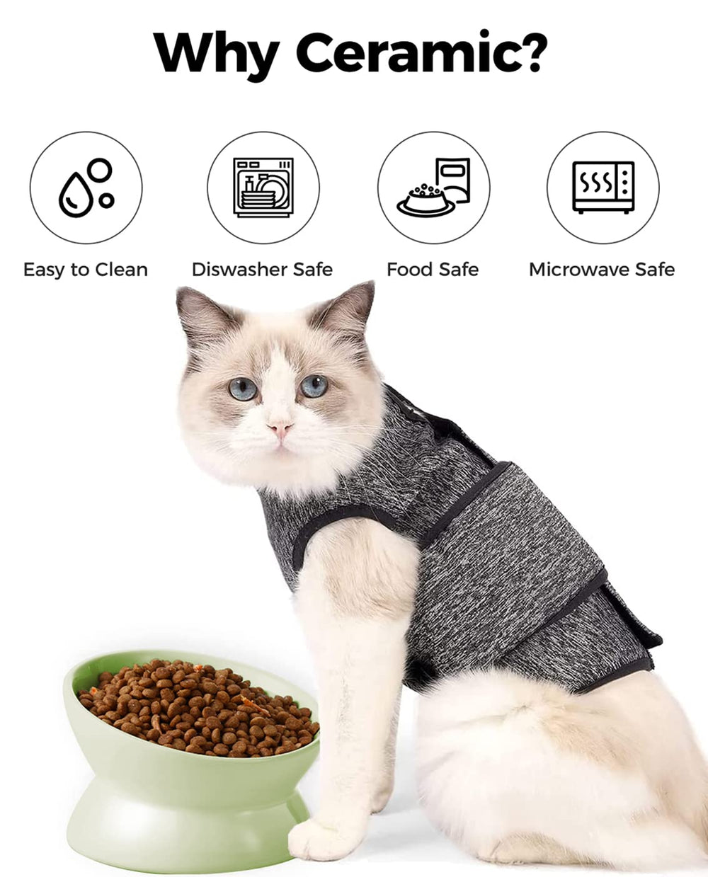 LoeJan elevated cat food bowl raised-height detail emphasizes neck-friendly eating.