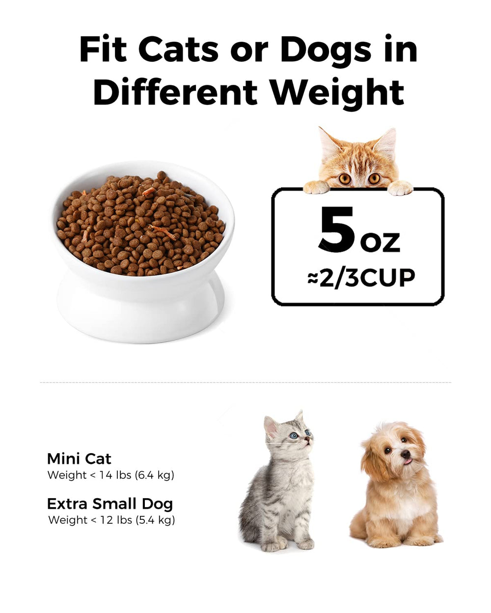 LoeJan elevated cat bowl tilt-angle view shows centered food for easier eating.