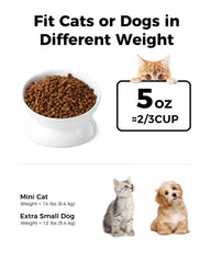 LoeJan elevated cat bowl tilt-angle view shows centered food for easier eating.