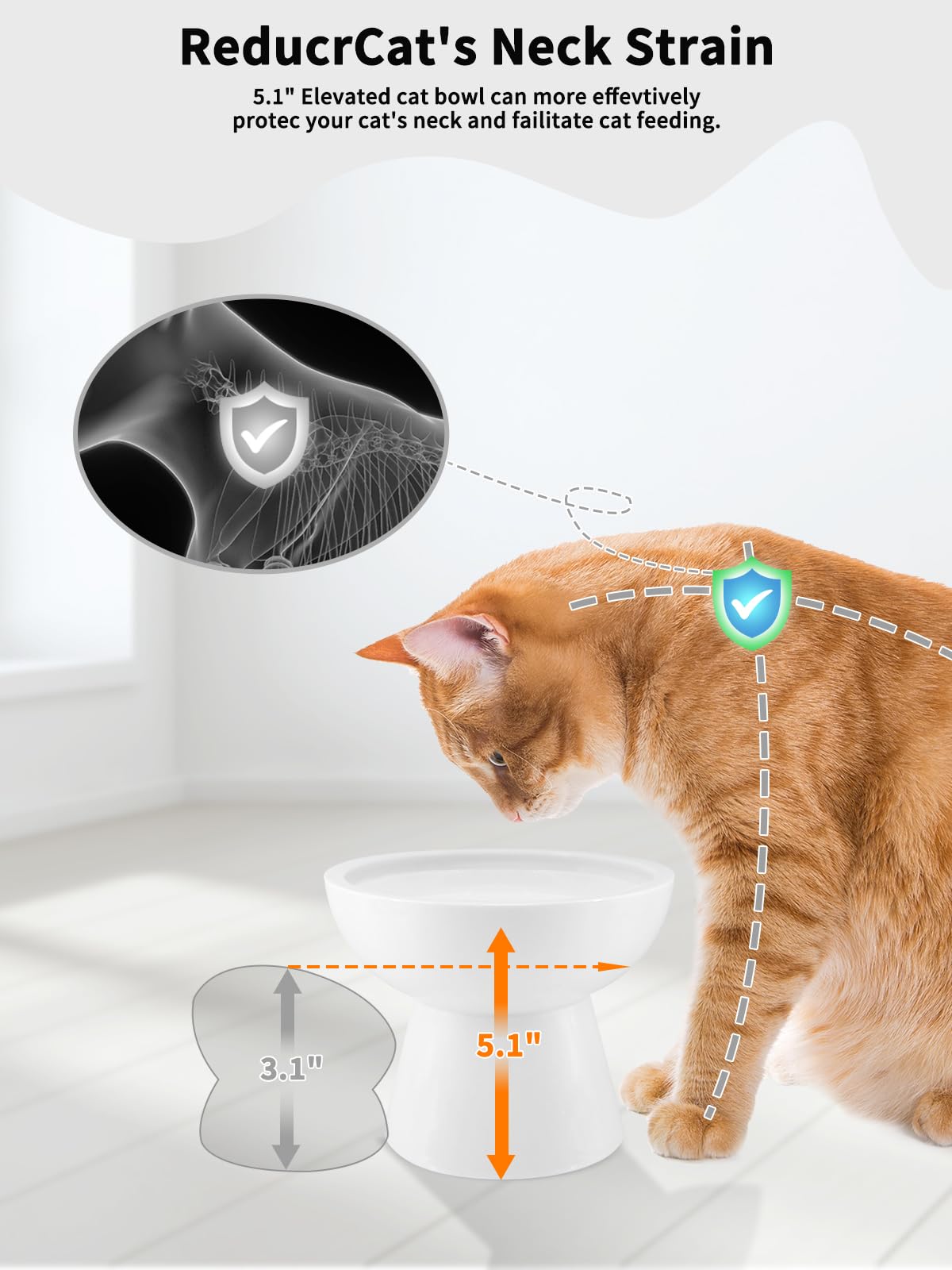 LoeJan elevated cat water bowl capacity holds up to 18 ounces for fewer refills.