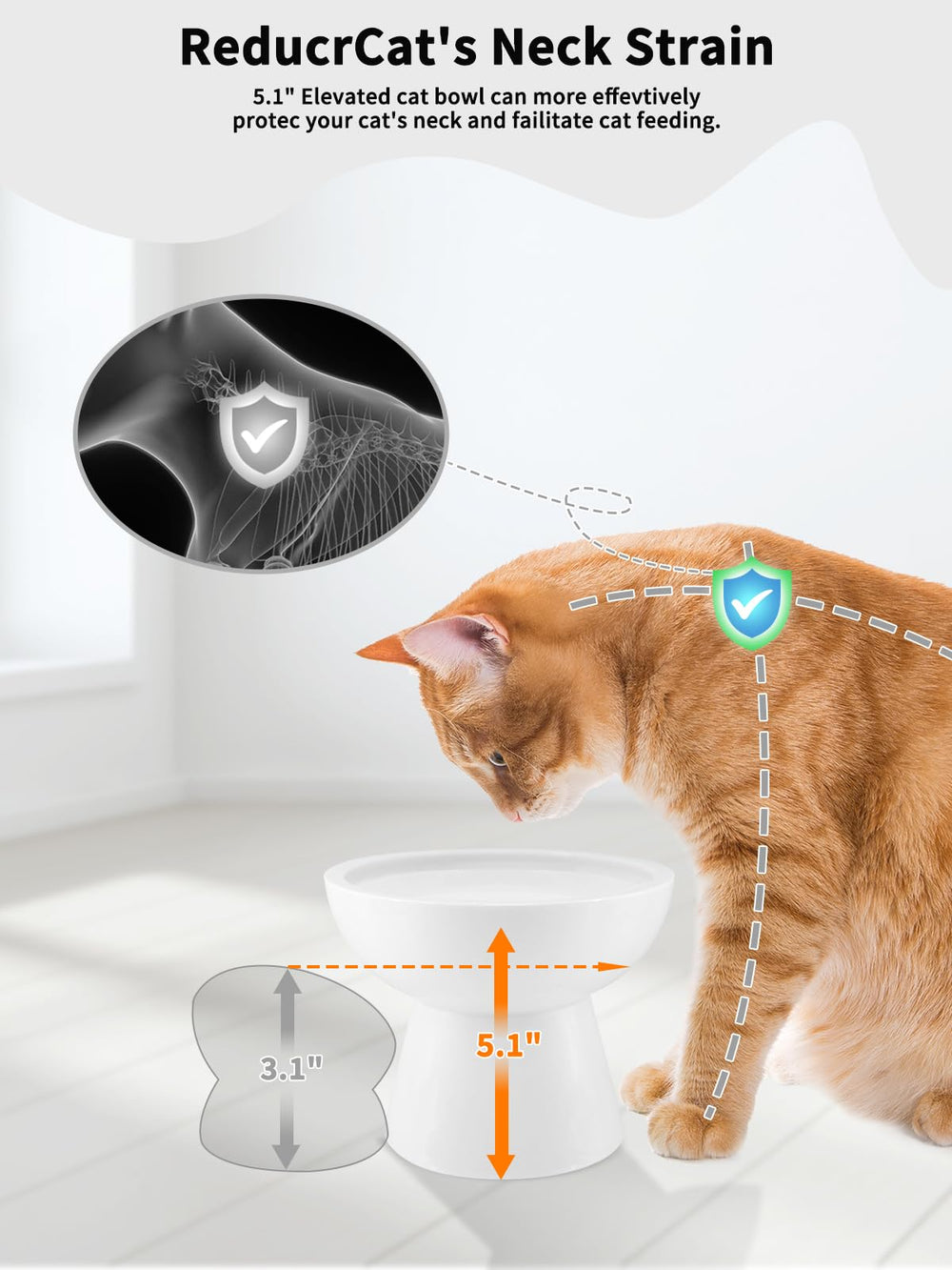 LoeJan elevated cat water bowl capacity holds up to 18 ounces for fewer refills.