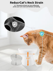 LoeJan elevated cat water bowl capacity holds up to 18 ounces for fewer refills.