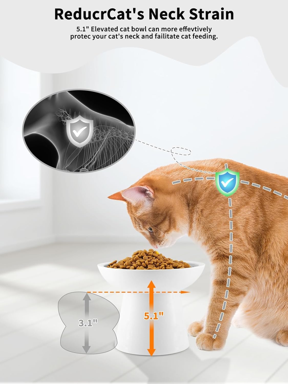LoeJan elevated whisker-friendly tray keeps whiskers comfortable during meals