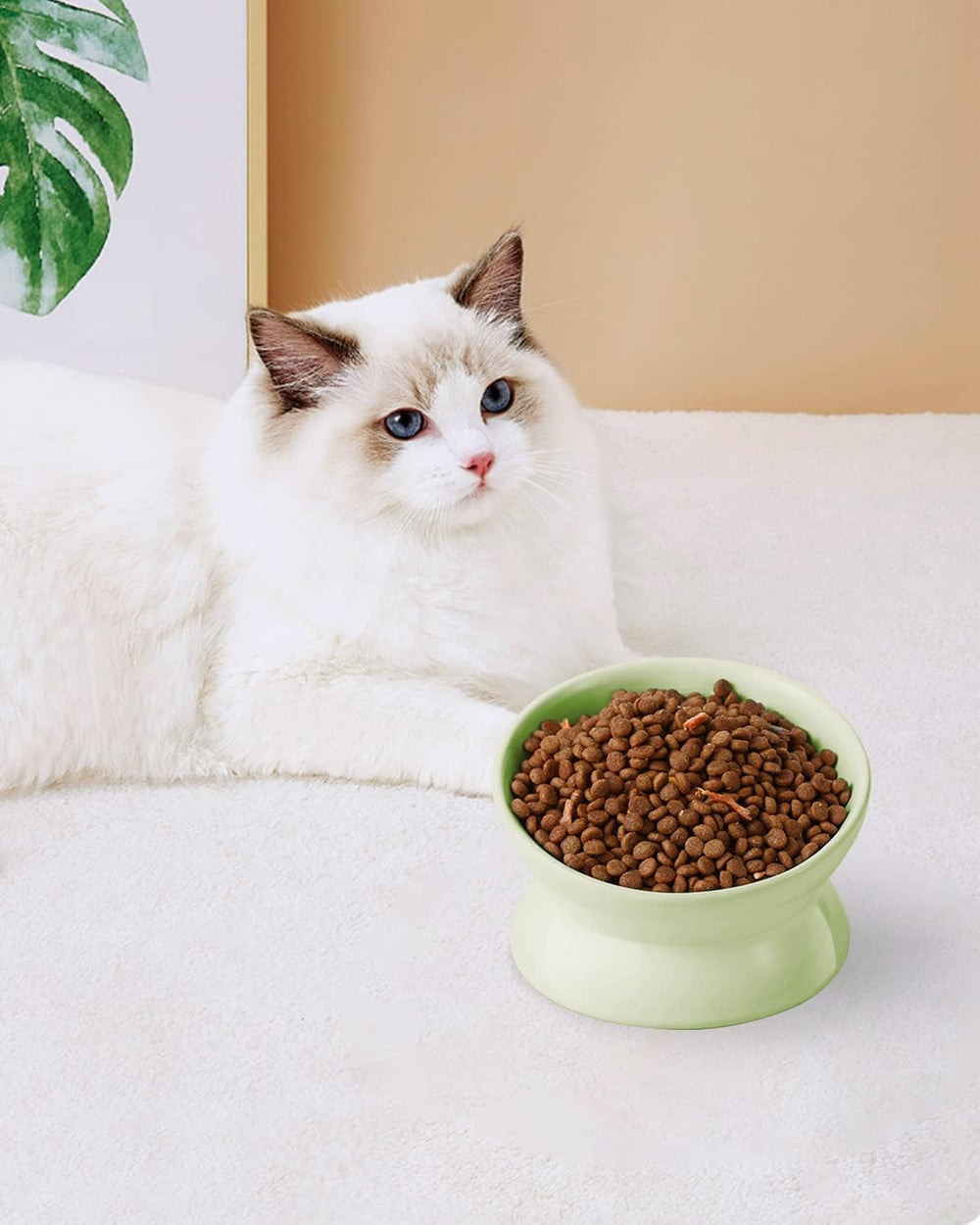 LoeJan lead-free ceramic surface promotes odor-free feeding