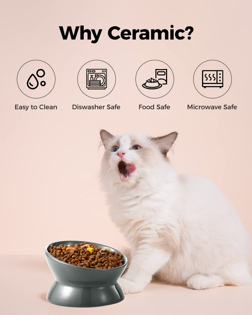 LoeJan lead-free odorless ceramic bowl for safe, simple pet feeding