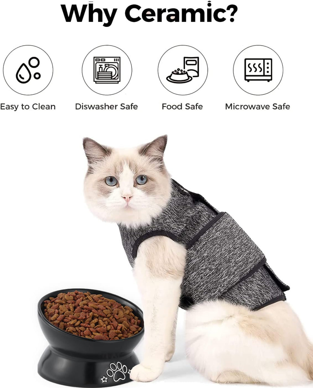 LoeJan microwave-safe cat dish for easy reheating and cleaning