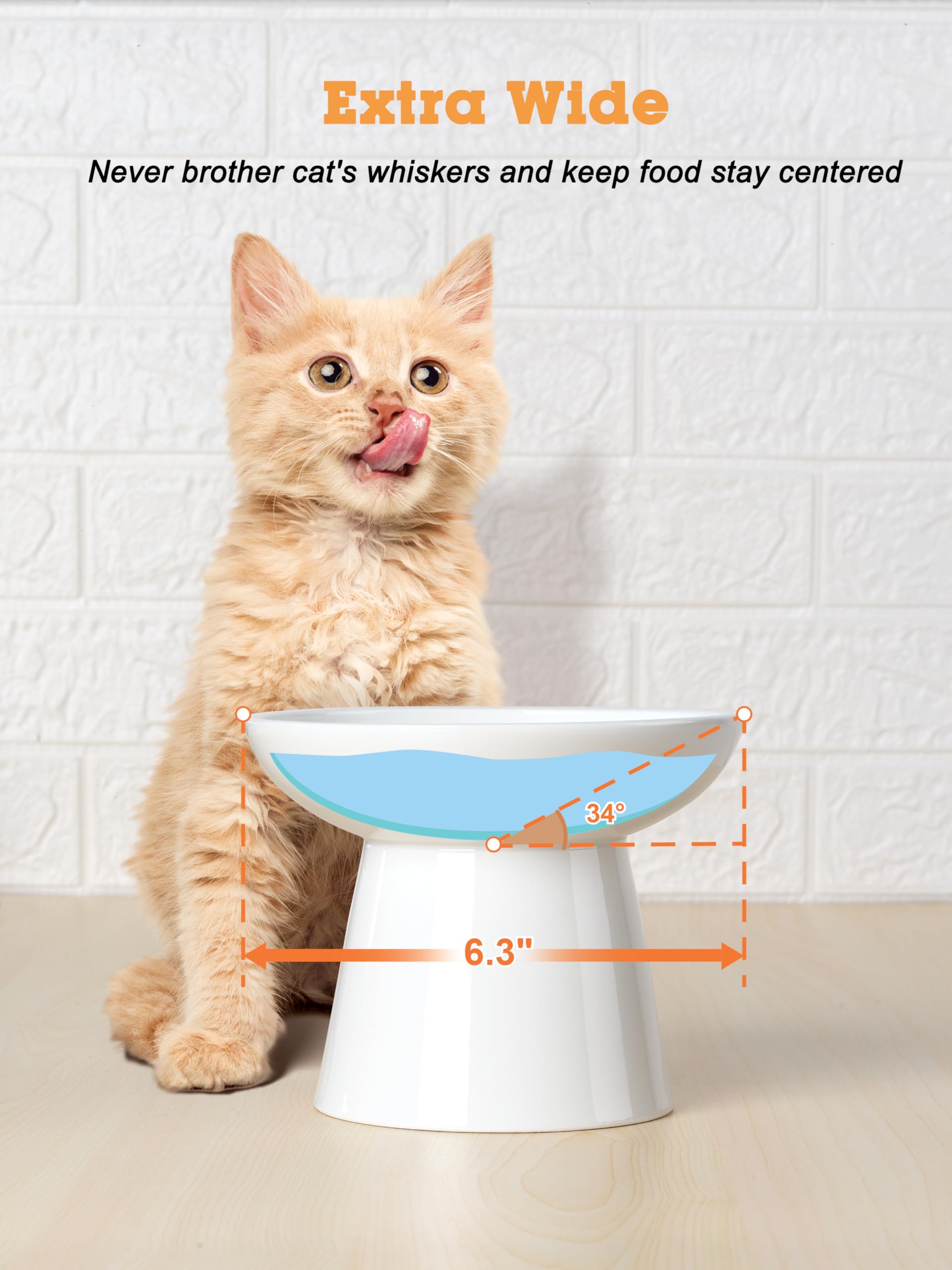 LoeJan porcelain ceramic cat bowls are lead-free and cadmium-free