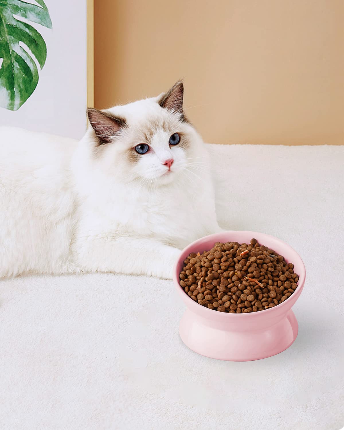 LoeJan small-pet friendly pink cat bowl suitable for kittens and small dogs