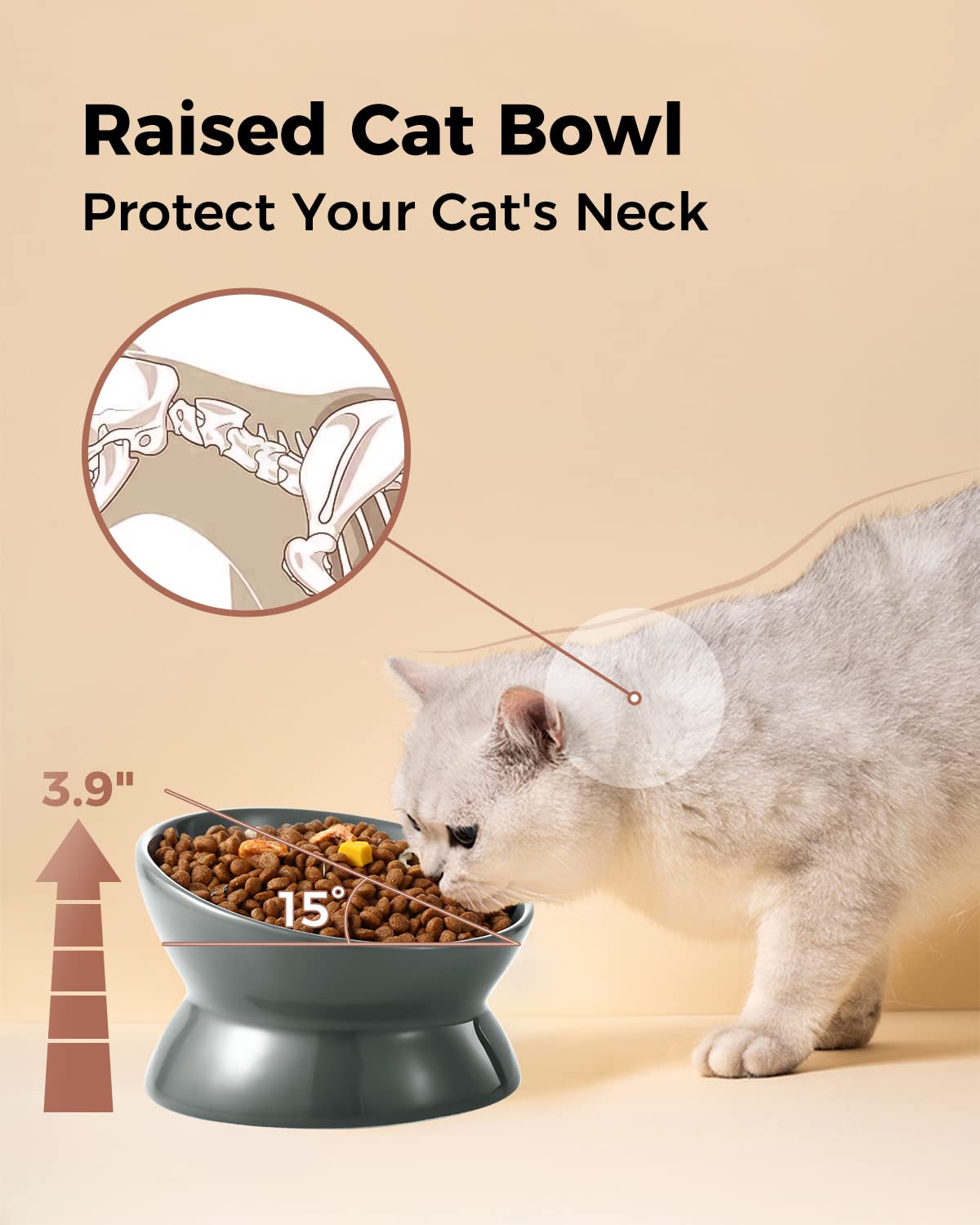 LoeJan small-pet gray bowl suitable for kittens and tiny dogs