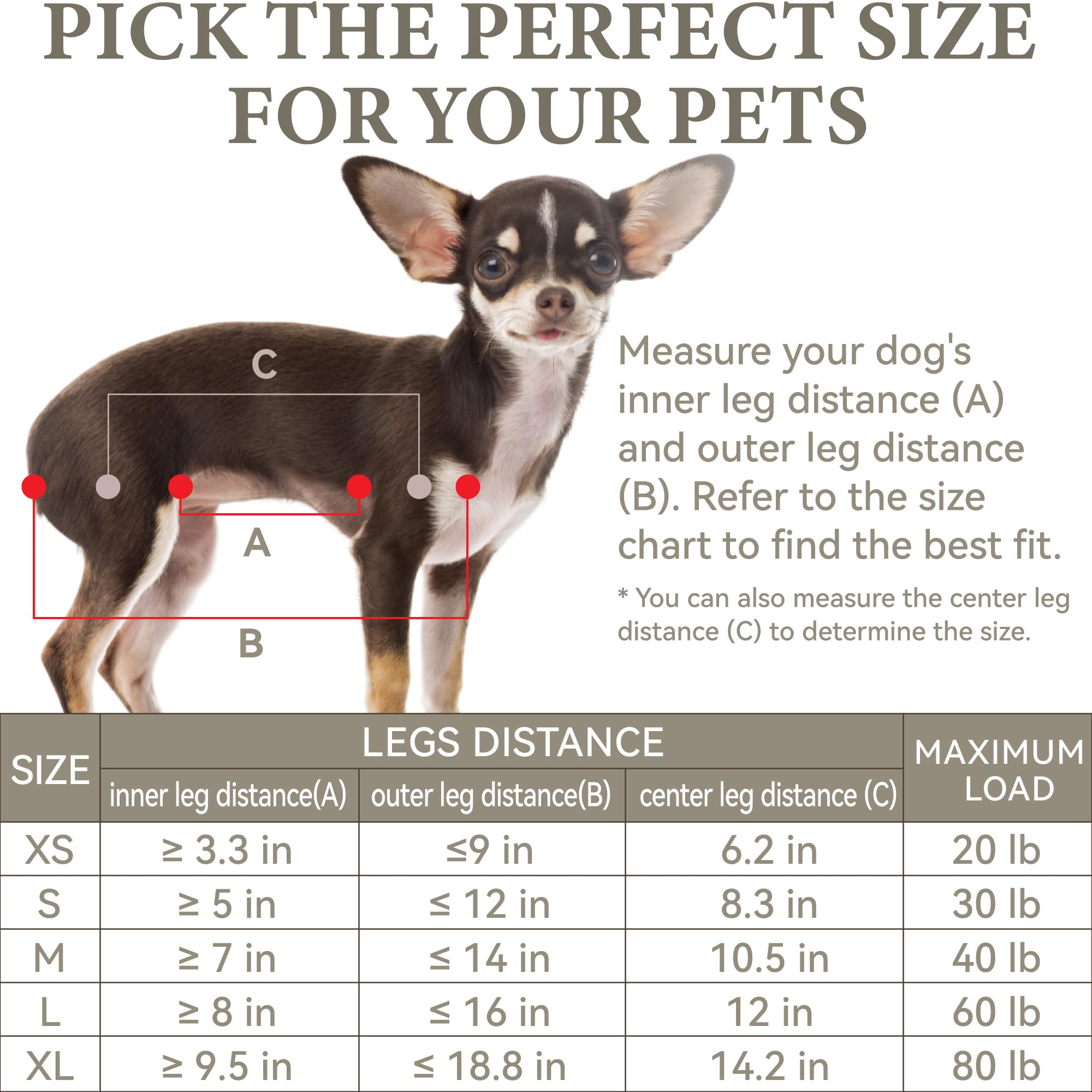 Loesuona dog grooming hammock setup is simple and user-friendly for home grooming.