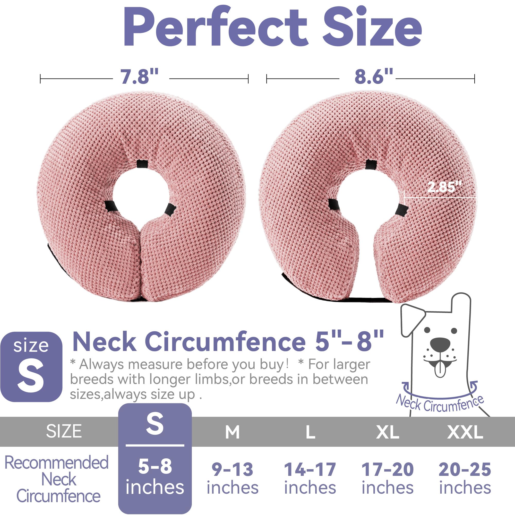 Loflaze inflatable collar on dog during recovery shows freedom and protection