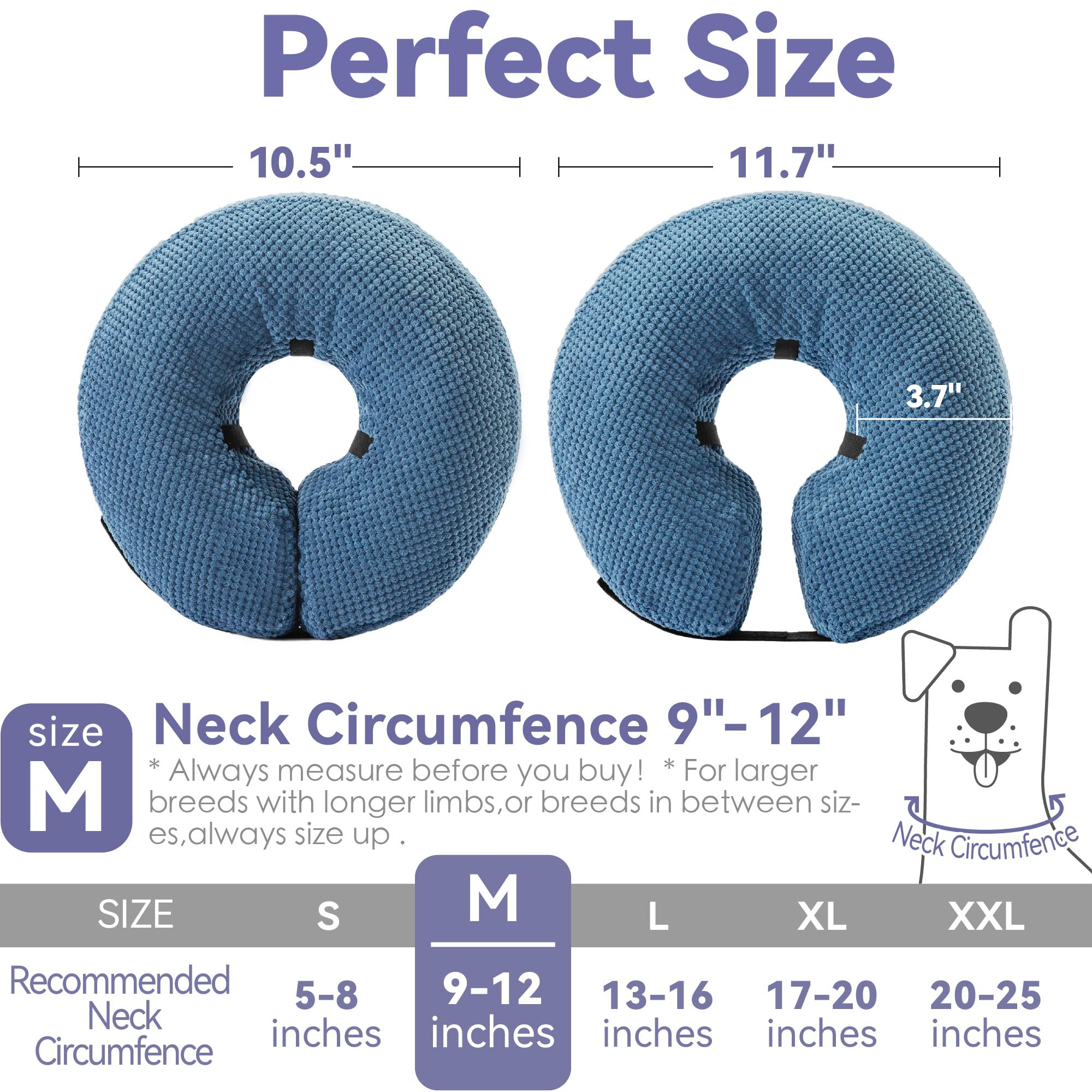 Loflaze ensures eating and drinking while wearing the collar during recovery