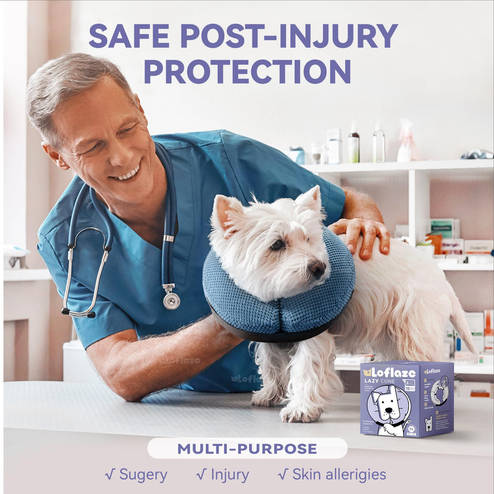 Loflaze inflatable dog cone collar blue XL worn on a dog during recovery for eating