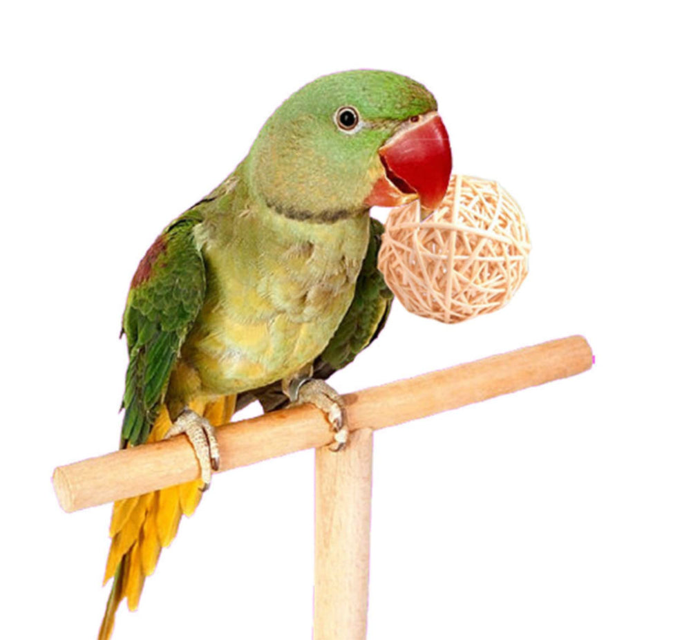 LOIUGENTE parrot chew toy ball-02, vibrant rattan toy for daily play and shredding fun