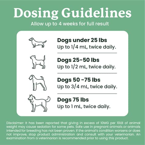 Lolahemp calming drops illustrate soothing relief for stressed pets.