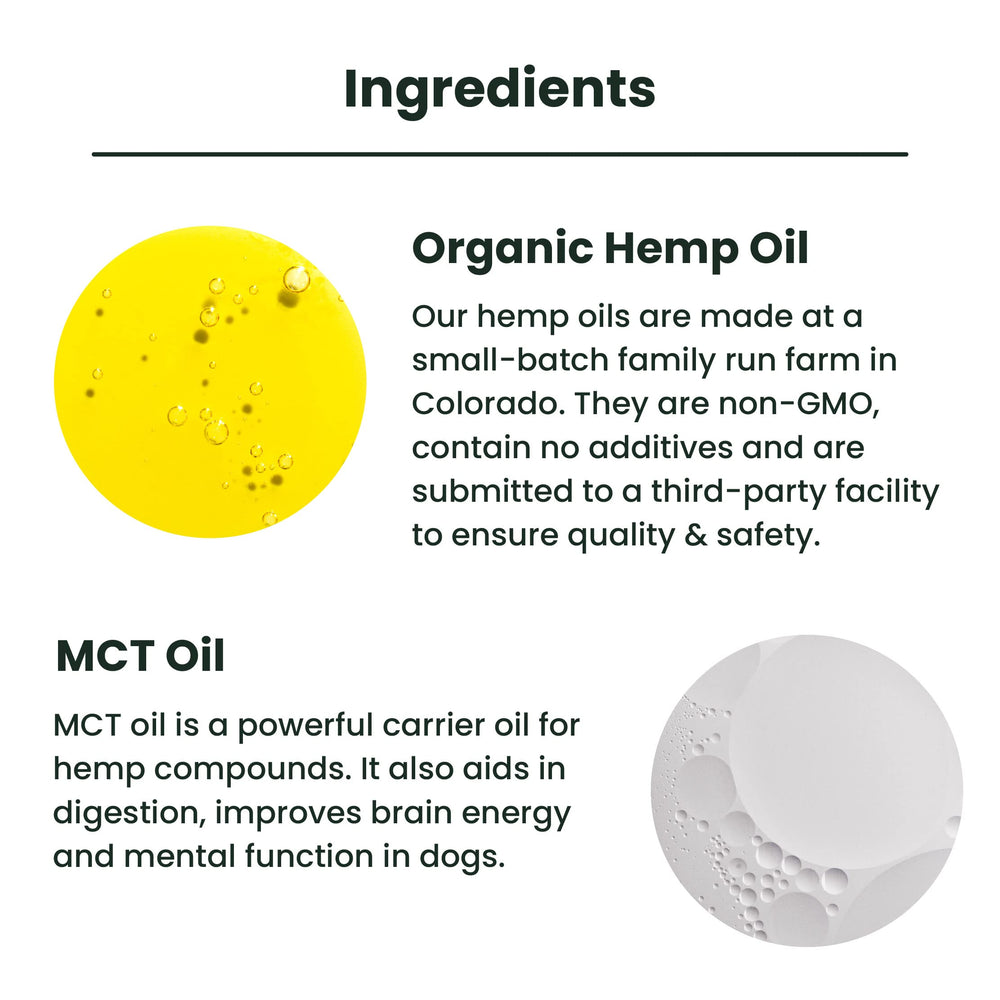Lolahemp joint-support scene signals potential mobility help for aging pets.